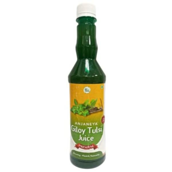 paithan eco foods tulsi giloy juice helps relieve winter allergies 500 ml product images orvl1snrsxm p596529923 0 202212211041
